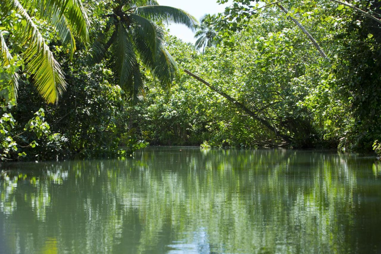 Raiatea - Studio Tenape Tevaitoa Экстерьер фото
